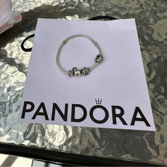 [SOLD] Pandora Charm Bracelet with Safety Chain - Picture 5 of 5